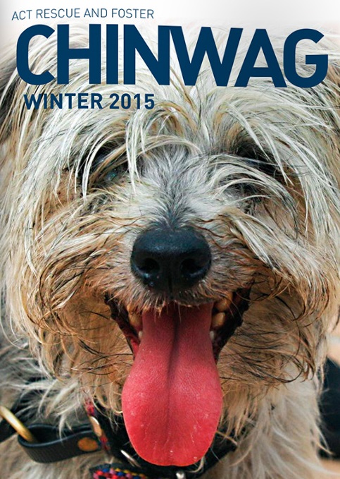 ARF Chinwag Winter 2015 mag cover