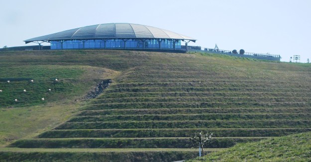 Arboretum Events Terrace