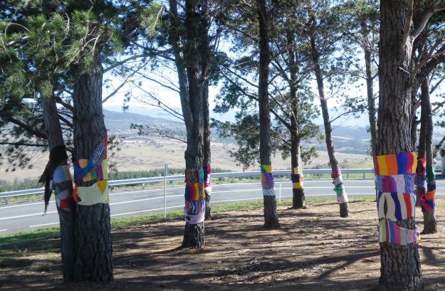 Warm Trees exhibition at the National Arboretum