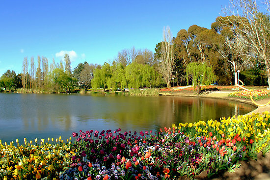 Floriade at Commonwealth Park by Penelope Thomas