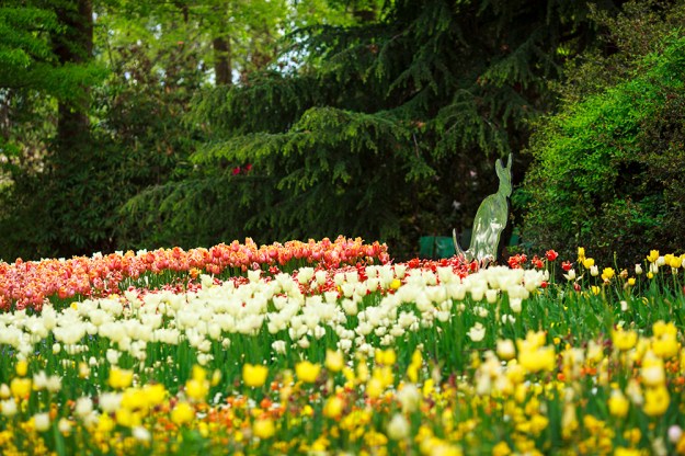 Floriade - image by Floriade