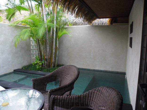 Te Manava plunge pool