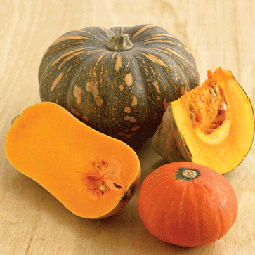 Pumpkins l - r: Butternut, Java, Java cut, Golden Nugget
