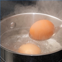 boil-egg