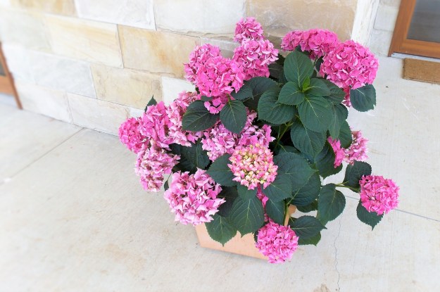 The Nest entrance - photo by LFW