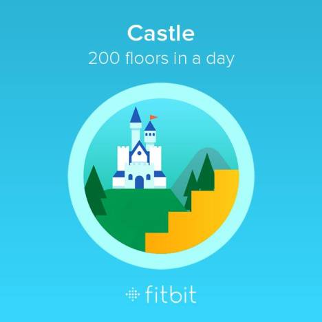 Castle fitbit