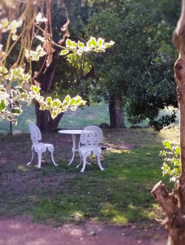 The Garden Wing private garden