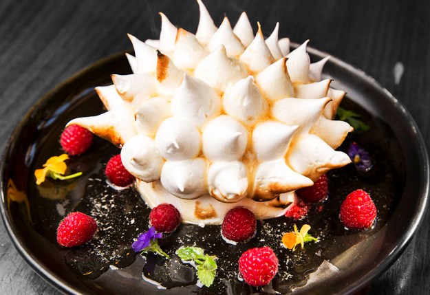 Photo by Sean Davey.