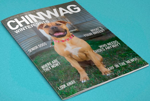 ARF Chinwag Winter 2-2016 image