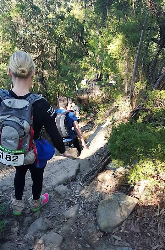 Rough terrain in Section 1