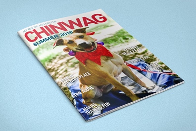 summer-chinwag-cover