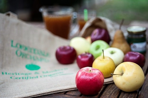 loriendale-orchard-apple