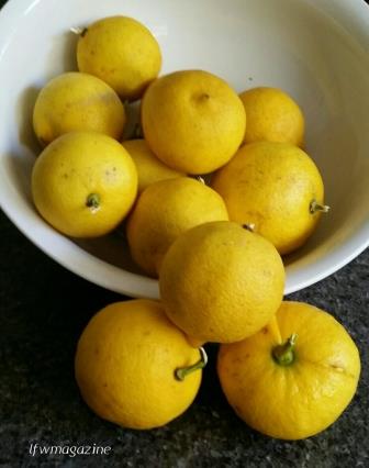 20170716_135407-1-1_1500182301795-1