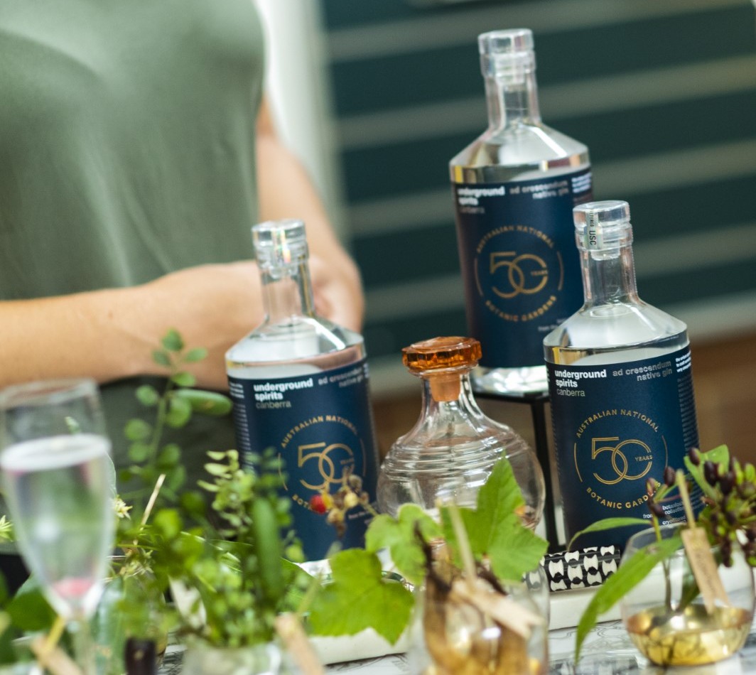 thumbnail_182_MAR'20 (1)